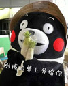 吃啥 刚拔的萝卜分给你 熊本熊