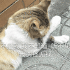 不是我 我不知道 听不见