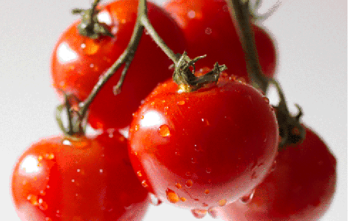 新鲜 西红柿 水滴 红色