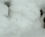 喵星人 猫咪玩雪 可爱 淘气