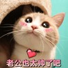萌宠 猫星人 老公 也太帅了吧 呆萌 可爱