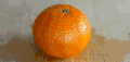 橙子 切开 水果 好吃