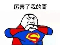 厉害了 我的哥 恶搞 作揖