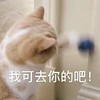 萌宠 猫星人 我可去你的吧 再见 呆萌 可爱