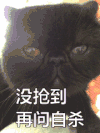 抢车票 春运 猫 再问自杀