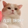 萌宠 猫星人 在吗 妹妹 搞怪 呆萌