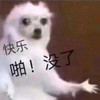 萌宠 汪星人 快乐 啪没了 搞怪 逗