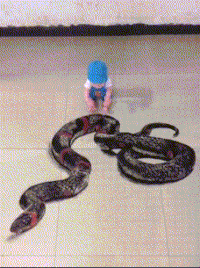 绘画 3D 逼真 牛人