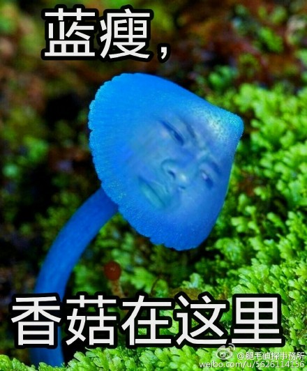 人臉 草地 藍瘦 香菇在這里