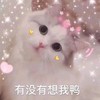 萌宠 猫星人 有没有想我啊 撒娇 呆萌 可爱