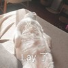 萌宠 喵星人 累了 睡了 呆萌 可爱