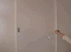 猫 动物 跳
