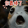 星球大战：最后的绝地武士 棒 soogif soogif出品