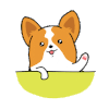 小狗 打招呼 可爱 萌
