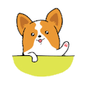 小狗 打招呼 可爱 萌