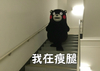 八块腹肌小马甲 我在瘦腿 熊本熊