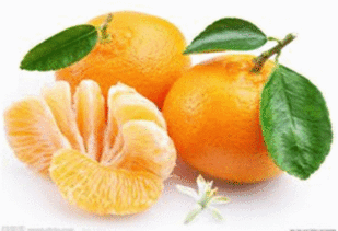 橘子 葡萄 梨子 食物