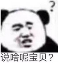 熊猫头 文字表情包 说啥呢宝贝 搞怪 逗 沙雕