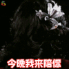 万圣节 吓人 恐怖 今晚我陪你 搞怪 soogif soogif出品