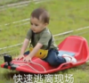 本特利 萌娃 快速逃离现场 可爱 搞笑 逗
