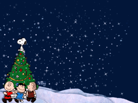 圣诞树 夜晚 下雪 美景