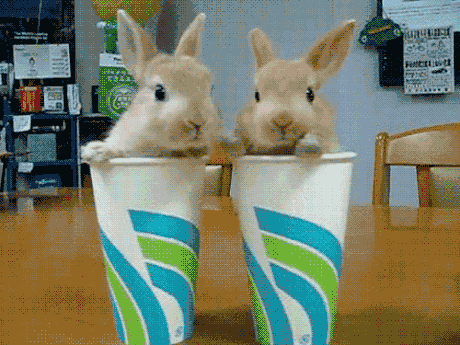 兔子 可爱 杯子 耳朵
