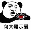 暴漫 文字表情包 向大哥示爱 魔性 搞怪 沙雕