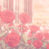 风景 美景 清新 唯美 花 花朵