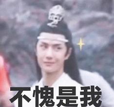 不愧是我 王一博 文字表情包 搞笑 小哥哥