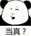 熊猫人 张嘴 质疑 当真