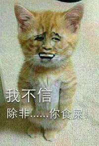 我不信 除非你食屎 斗图 搞笑 猥琐