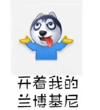 开着我的兰博基尼 斗图 搞笑 可爱