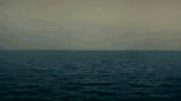 海洋 波动 上传 平静的大海 是否有人发现这有点令人毛骨悚然 哦 好的 平静的海洋