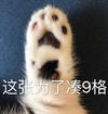 萌宠 猫星人 这张为了凑9格 猫爪 呆萌 可爱
