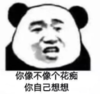 暴漫 文字表情包 你像不像一个花痴你自己想想 搞笑 沙雕 魔性