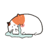 哭泣 搞笑 可爱 委屈