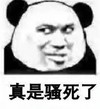 熊猫头 文字表情包 真是骚死了 搞笑 沙雕 魔性