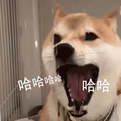 萌寵 汪星人 哈哈哈哈 笑死我了 活潑 可愛