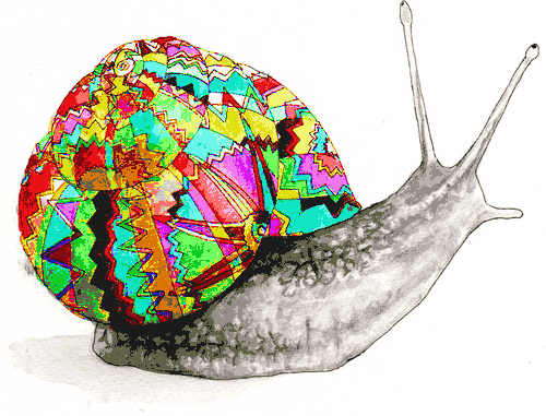 蜗牛 色彩 艺术 创意