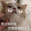 萌宠 喵星人 捏过我的脸你就是我的人 捏捏脸 可爱 呆萌