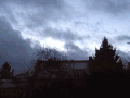 阴天 天空 云在动 大树 房子