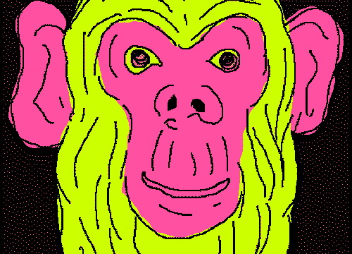 猴子 变化 新年 2016