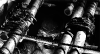 电影 horror movie creaturefromtheblacklagoon 黑白格调