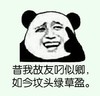 熊猫人 昔我故友叼似卿 如今坟头绿草盈 伸手指