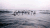 大海 波涛汹涌 湖水 goforth