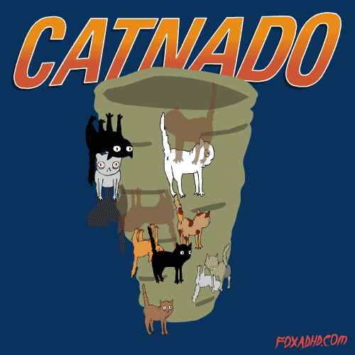 龙卷风 猫 龙卷风 catnado