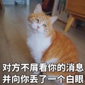 猫咪 可爱 对方不屑看你的消息 并向你丢了一个白眼