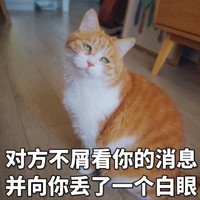 猫咪 可爱 对方不屑看你的消息 并向你丢了一个白眼