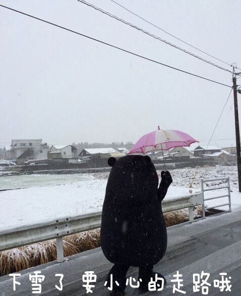 熊本熊 打傘 萌萌噠 下雪了要小心的走路哦