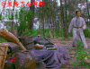 杨洋 羊咩咩 可爱 搞笑